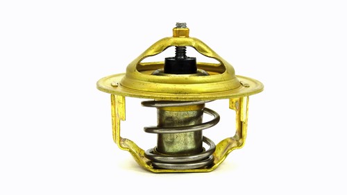 3704299m1 oem agco thermostat - 3704299m1,